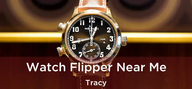 Watch Flipper Near Me Tracy